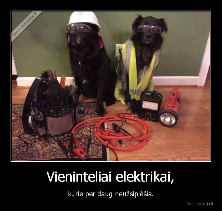 elektrikai,suo,pinigai