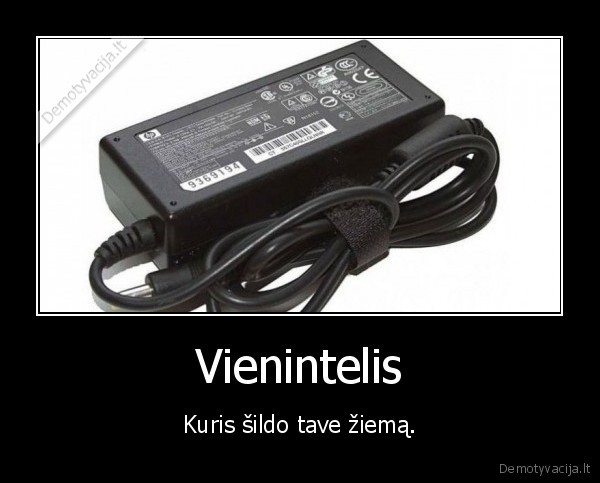 Vienintelis