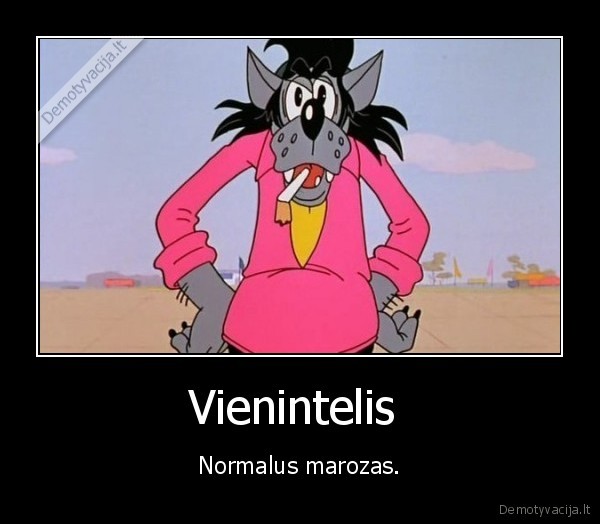 vilkas,nu, pogodi,marozas