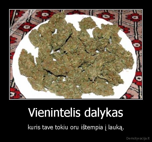 ganja,zole,oras,as, zjb