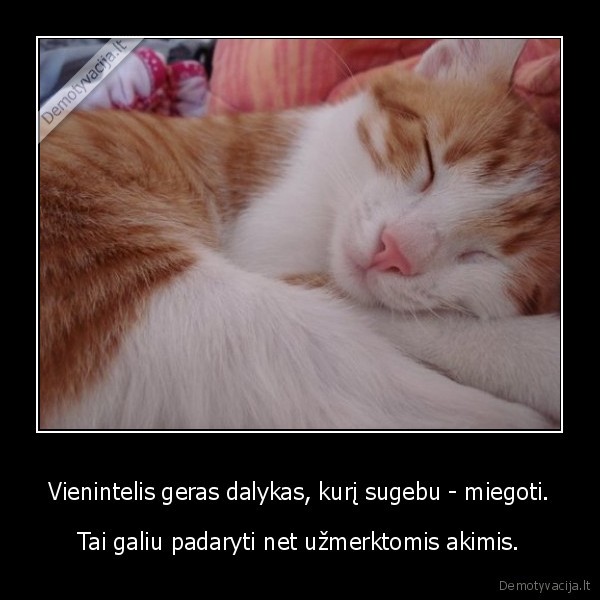 Vienintelis geras dalykas, kurį sugebu - miegoti.