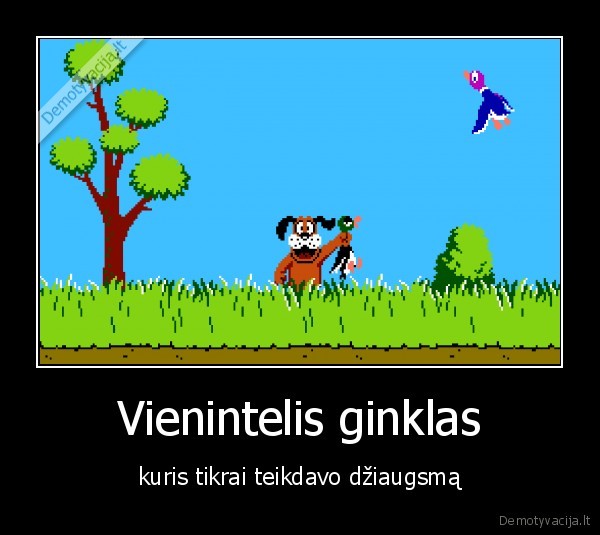 Vienintelis ginklas