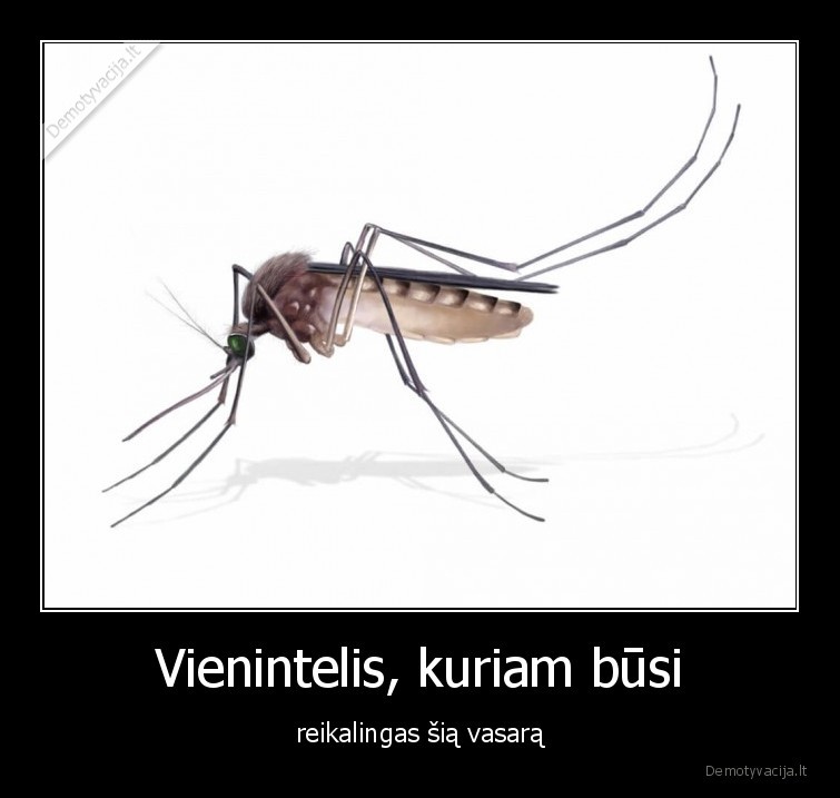 uodai,vasara,karstis