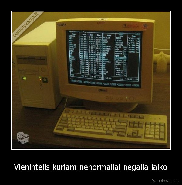 Vienintelis kuriam nenormaliai negaila laiko