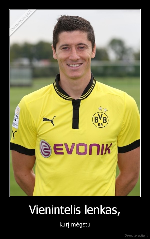 Vienintelis lenkas,