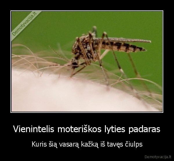 uodai,vasara,ciulpimas,moteris