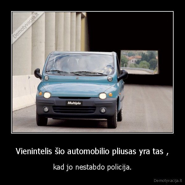 fiat,multipla