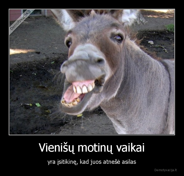 vaikai,asilas,motina,vienisa