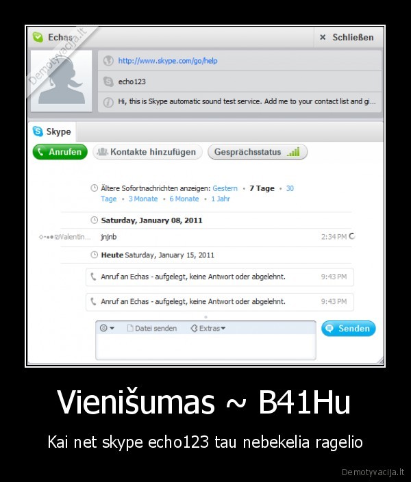 skype,vienisumas,b41hu,vbexplorer