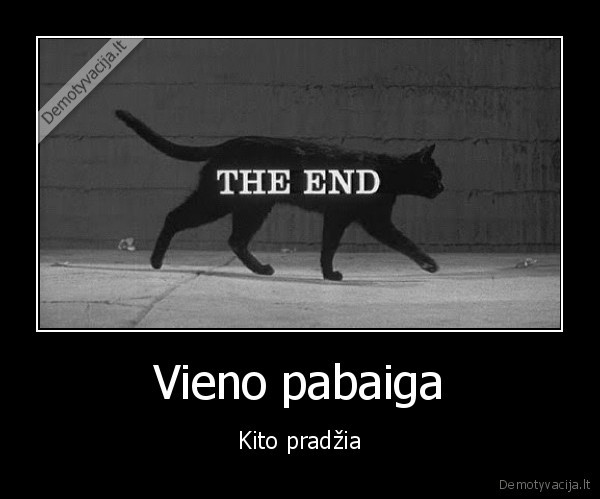 Vieno pabaiga