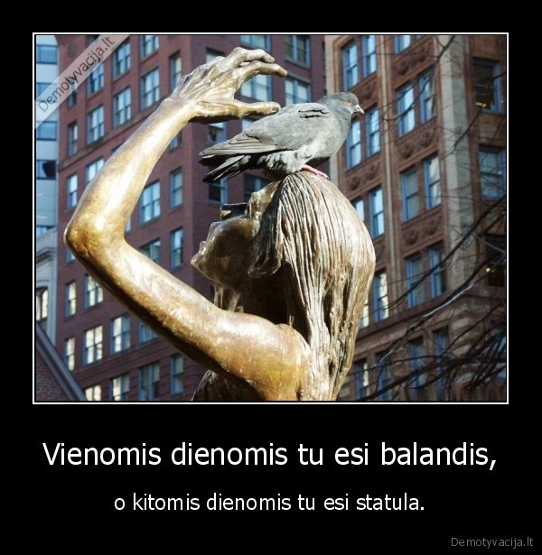 statula,balandis,dienos,shit