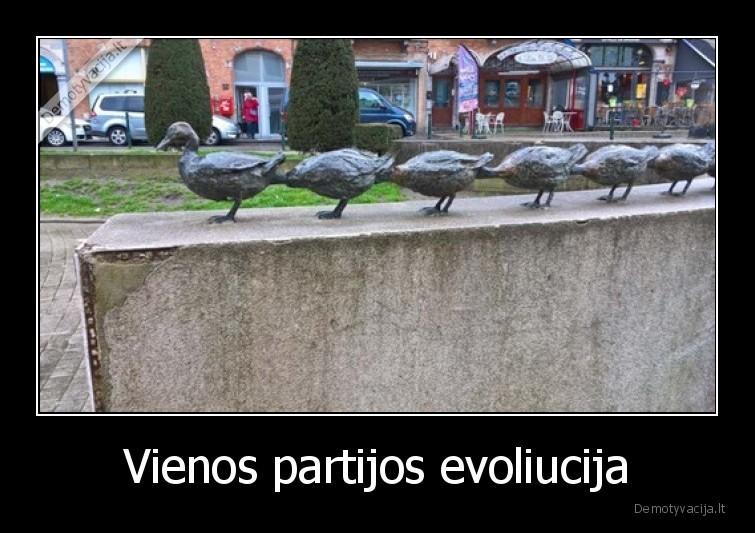 partija,evoliucija