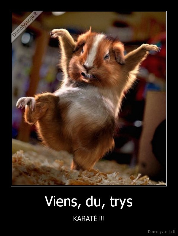 ziurkenas