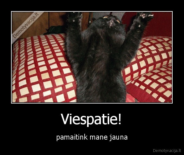 Viespatie!