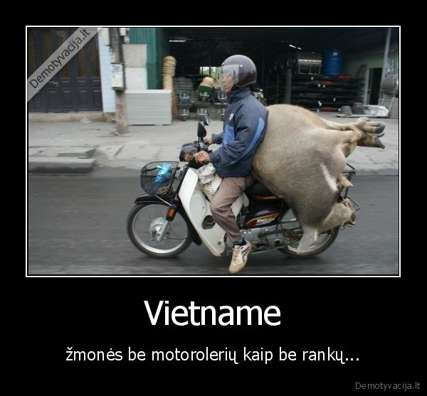 vietnamas, mulas, motoroleris