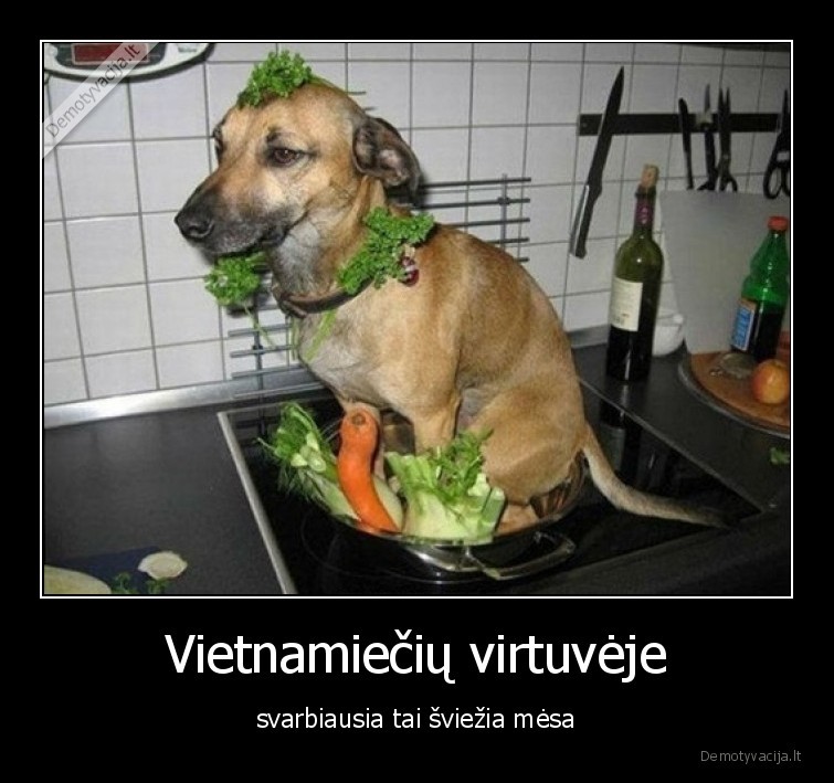 suo,vietnamieciu,virtuve,sviezia,mesa