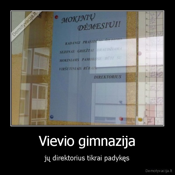 Vievio gimnazija