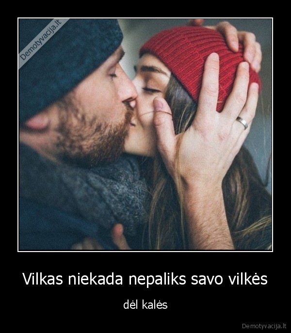 vilkas,meile