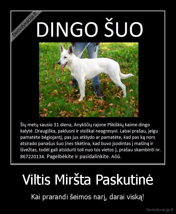 izimybes, nelaimes, pagalba, gyvenimas, meile, saima, draugai, susitikimai, siluma