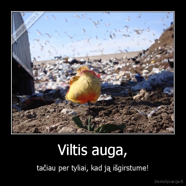 pasaulis