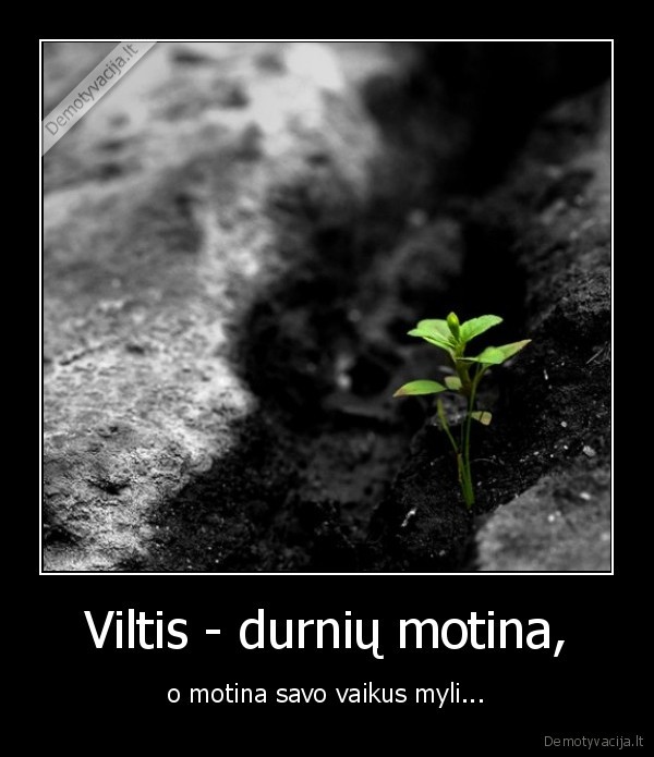 Viltis - durnių motina,