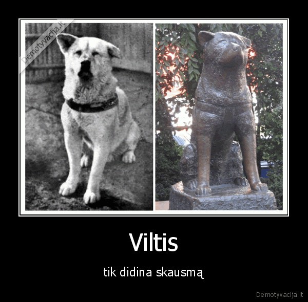 hachiko
