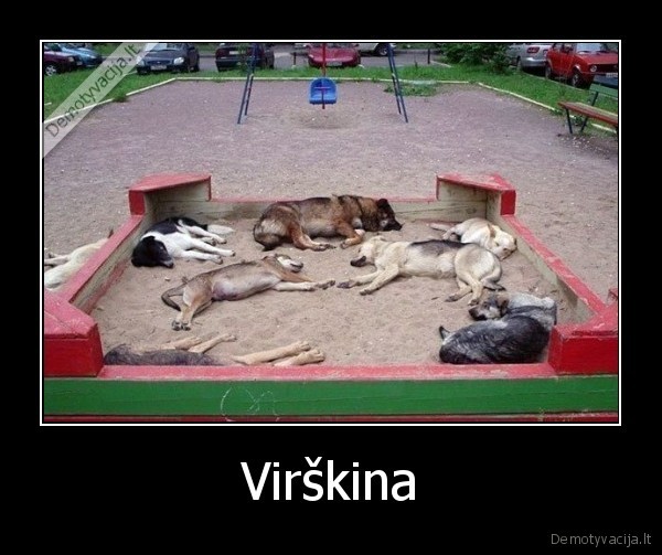 sunys,aisktele,virskina