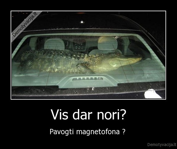 Vis dar nori?