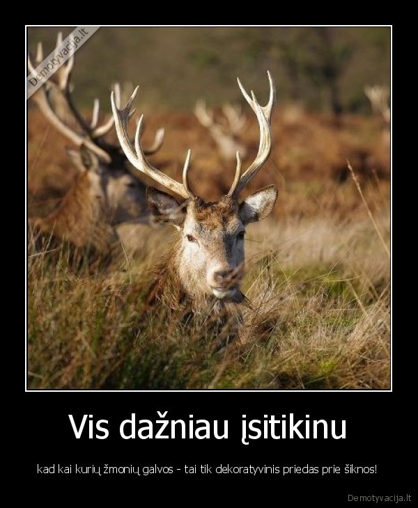Vis dažniau įsitikinu