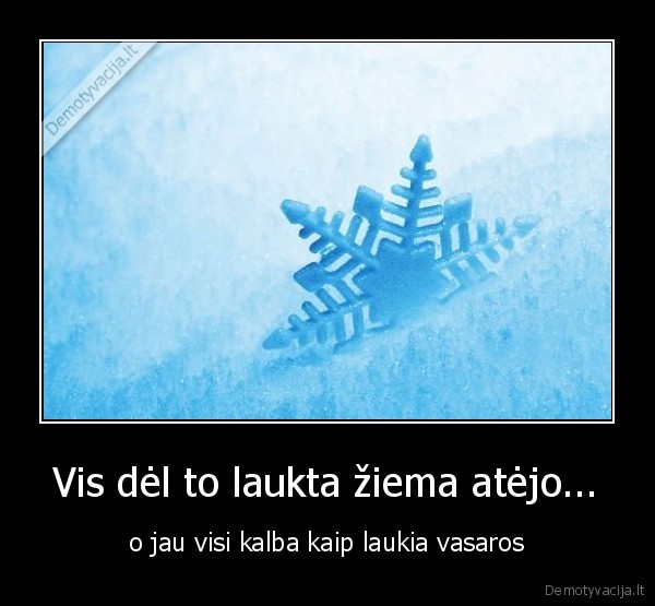 snaiges,ziema,kaledos
