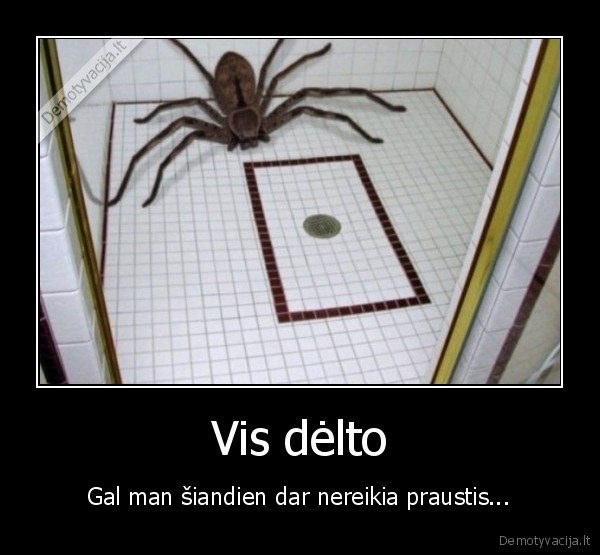 voras,dusas,prausimasis