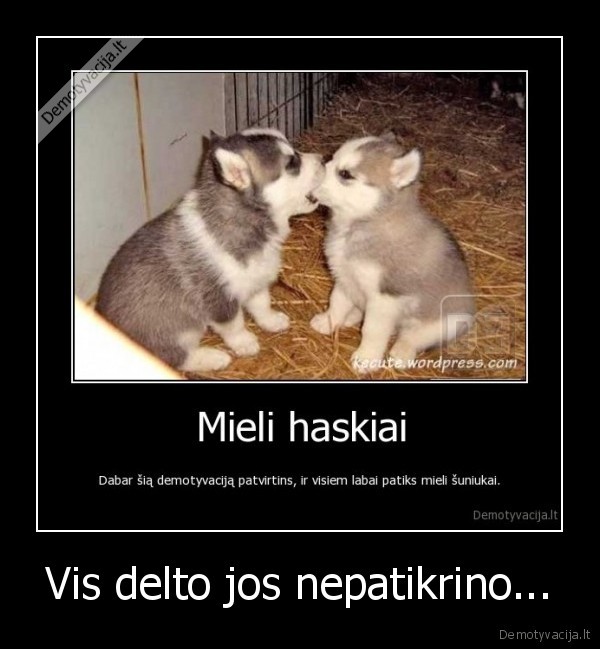 Vis delto jos nepatikrino...
