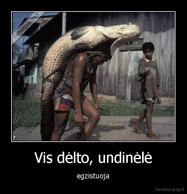 fishie, man
