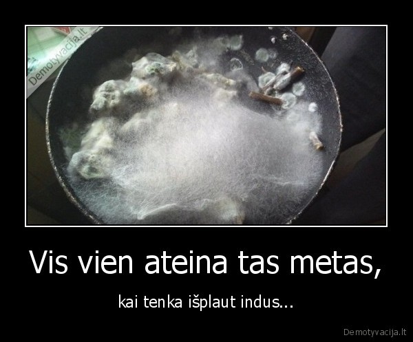 indai,plauti