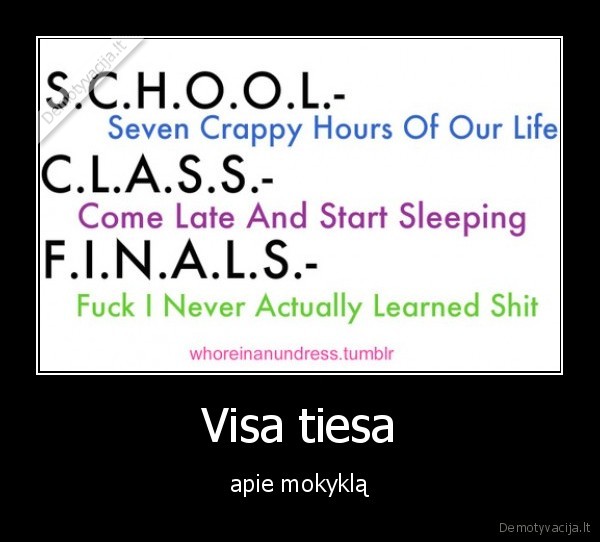 Visa tiesa