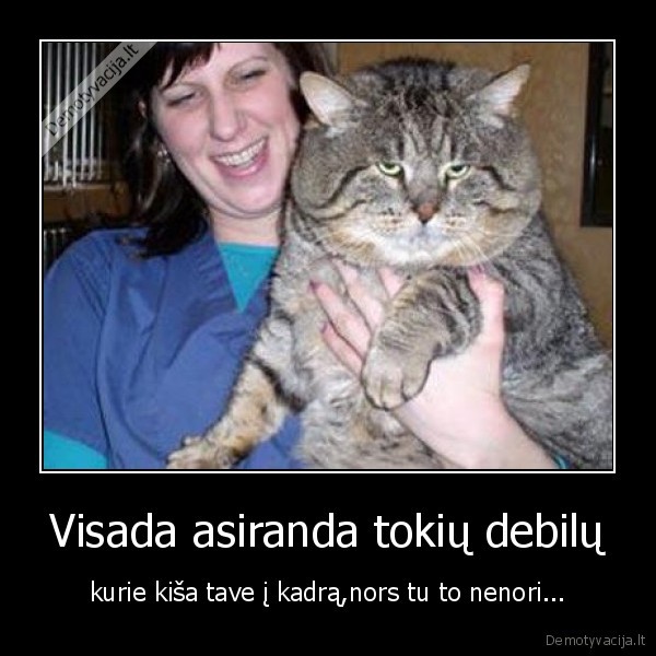 katinas
