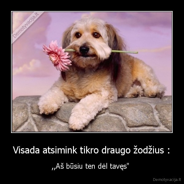 Visada atsimink tikro draugo žodžius :