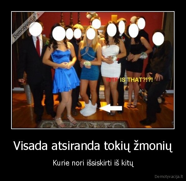 kambarines, slepkutes, veza, ddd