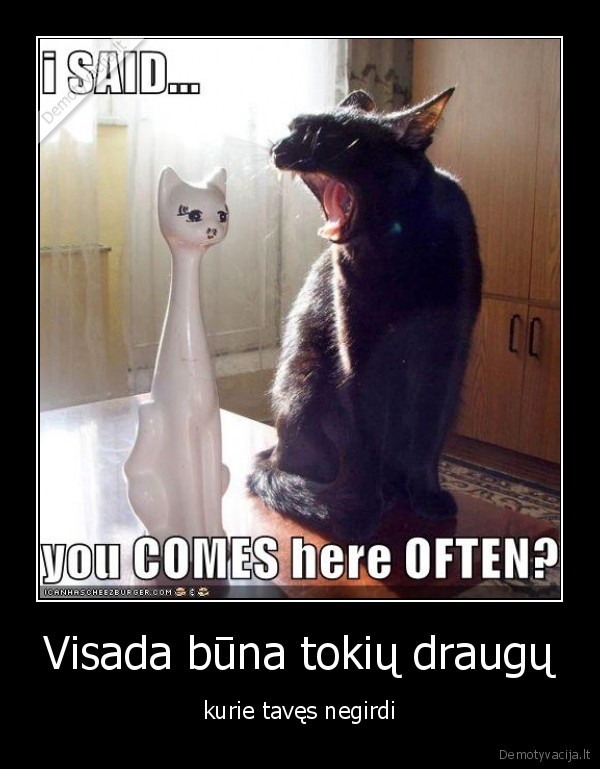 draugai,kates