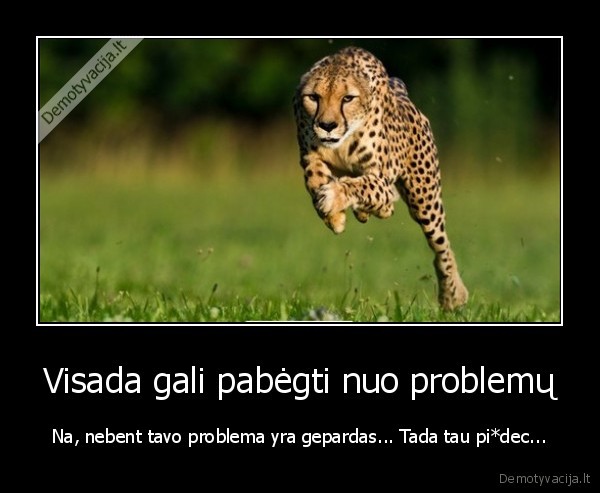 gepardas,greitis,bega