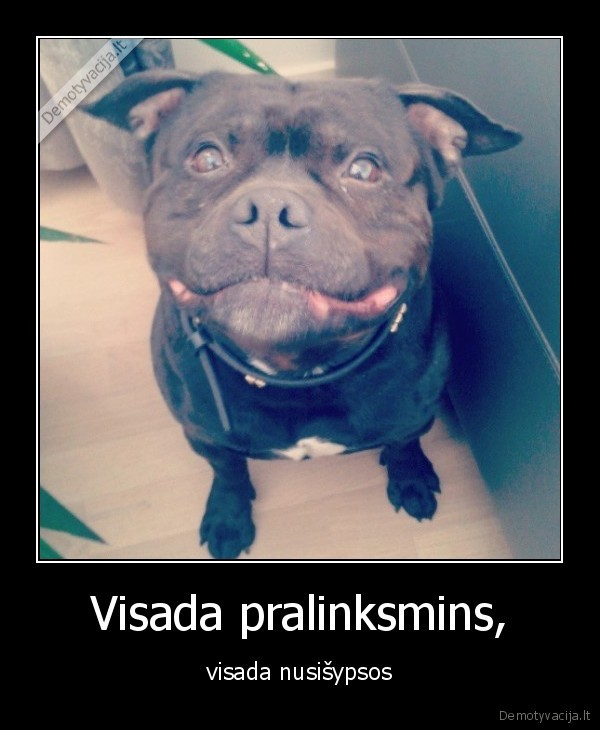 Visada pralinksmins,