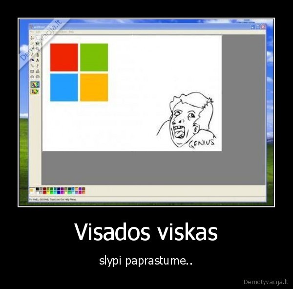 Visados viskas