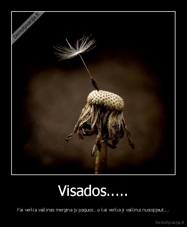 Visados.....