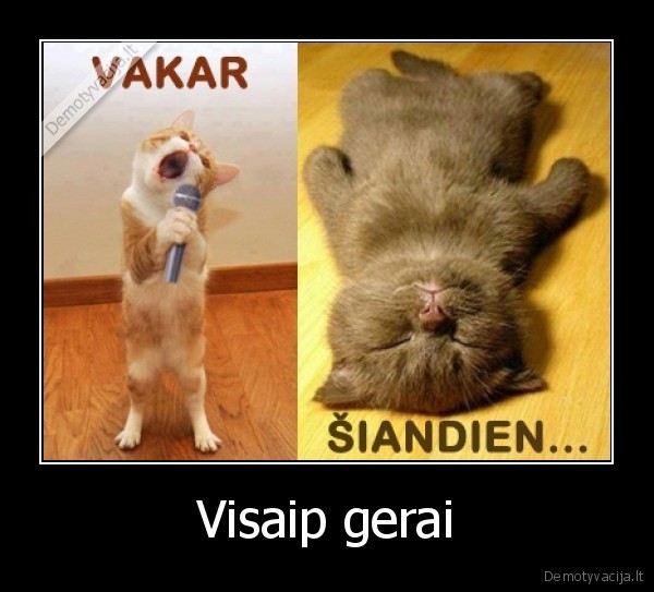 Visaip gerai