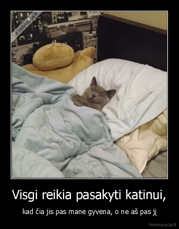 katinas