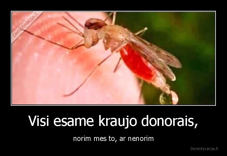 uodas,donoras,kraujas