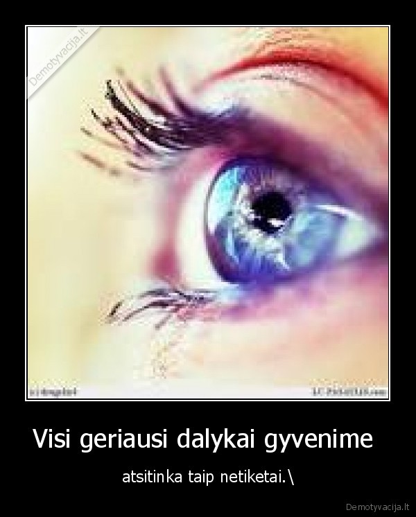 Visi geriausi dalykai gyvenime 