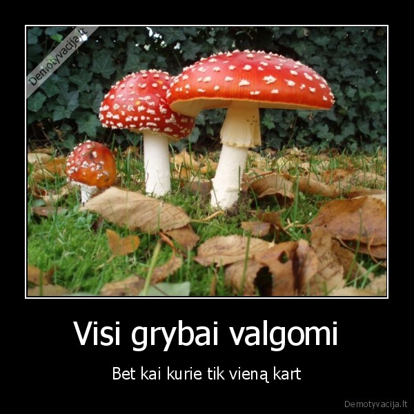 grybai, mirtis
