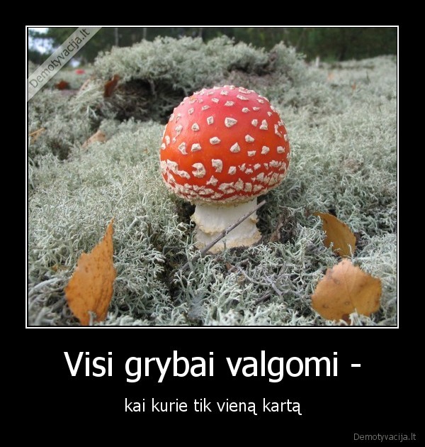 musmire,grybas,nevalgoma