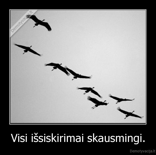 Visi išsiskirimai skausmingi.